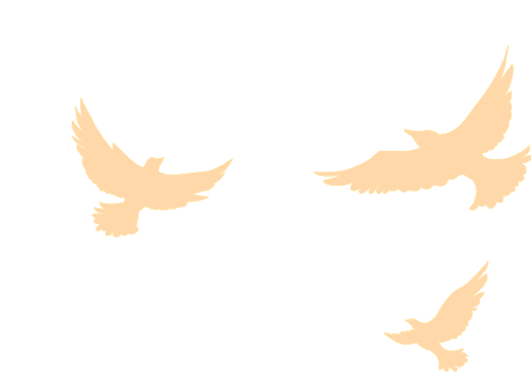 筑梦启程|珠海UED官网2025迎新晚会暨2024年度表彰大会 筑梦启程|珠海UED官网2025迎新晚会暨2024年度表彰大会