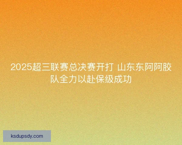 2025超三联赛总决赛开打 山东东阿阿胶队全力以赴保级成功 2025超三联赛总决赛开打 山东东阿阿胶队全力以赴保级成功